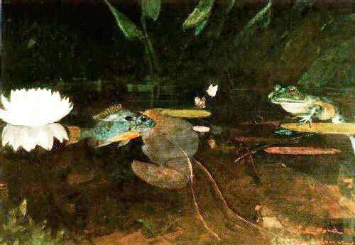 Winslow Homer The Mink Pond